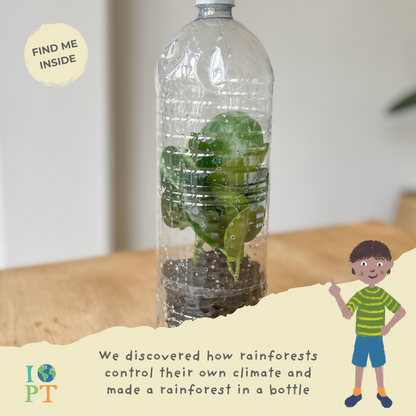 TOTALLY TROPICAL RAINFORESTS - Children’s eco activity kit (Age 5+) — Montessori wooden toy UK | KIDDYKIND