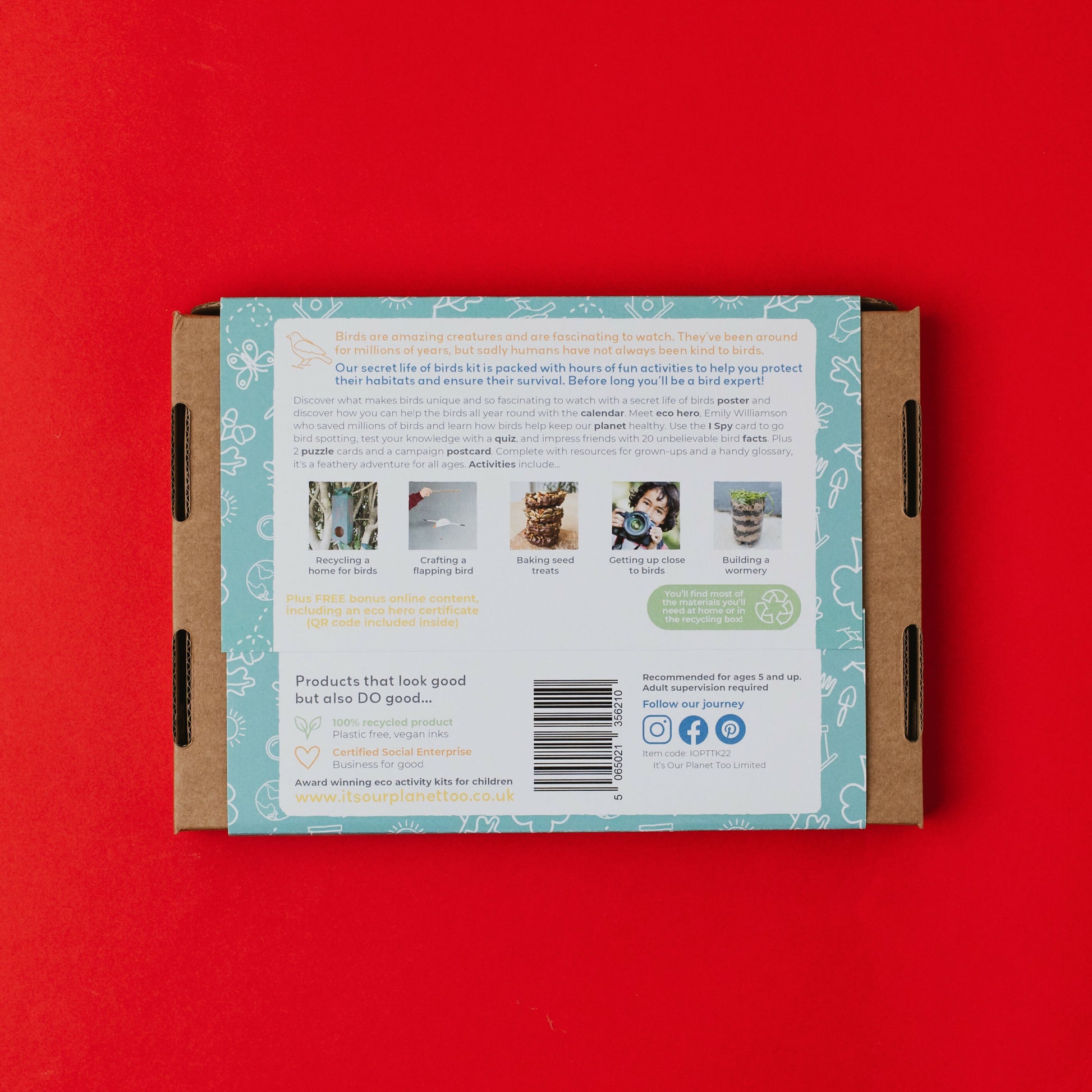 THE SECRET LIFE OF BIRDS - Children’s eco activity kit (Age 5+) | open-ended wooden toy for kids UK