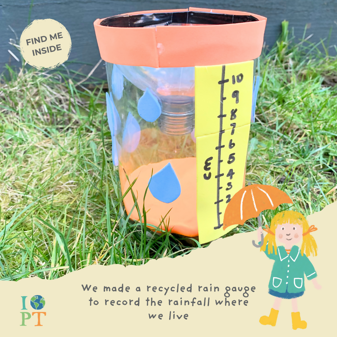 WILD WEATHER - Children’s eco activity kit (Age 5+) — Montessori wooden toy UK | KIDDYKIND