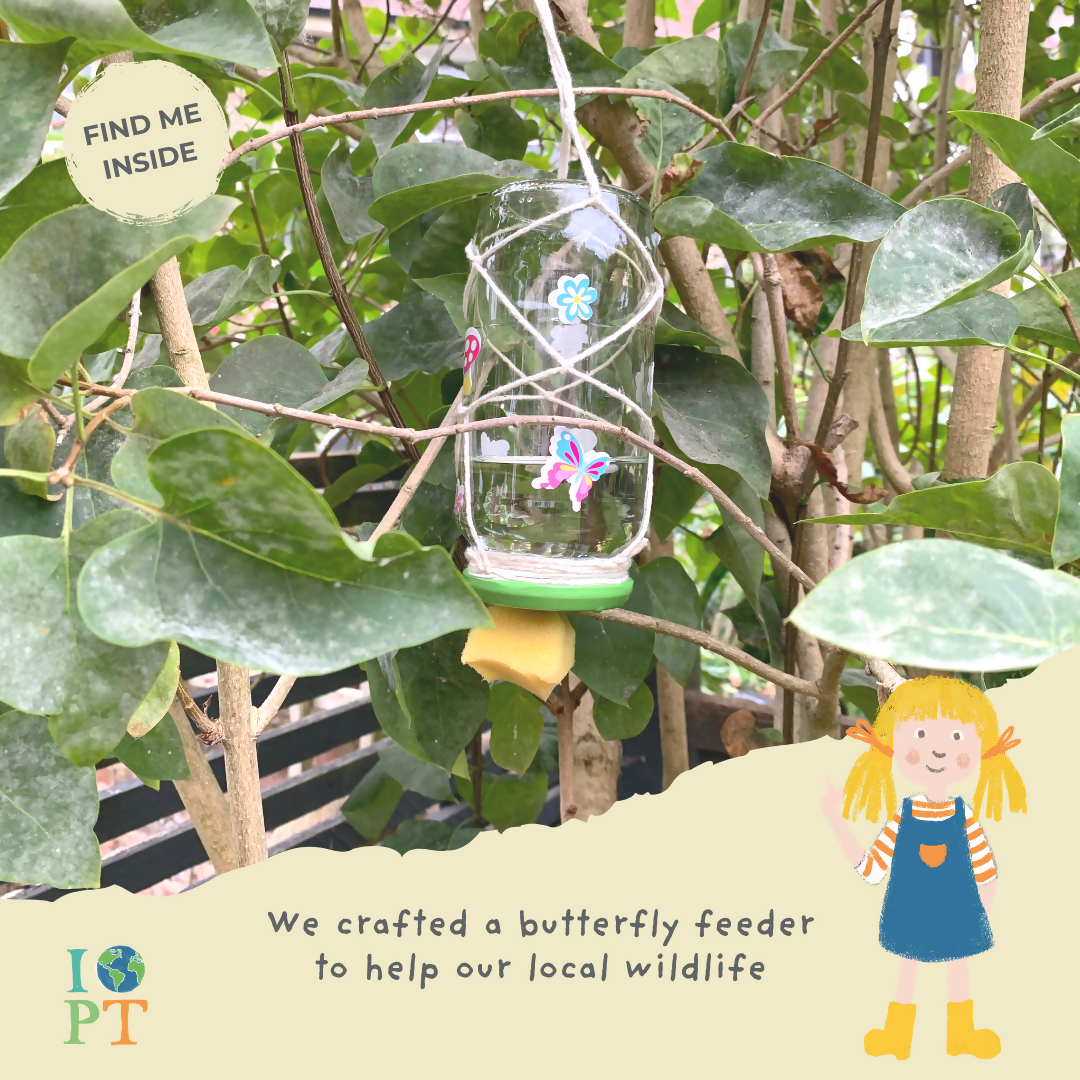 TERRIFIC TIGERS - Children’s eco activity kit (Age 5+) | open-ended wooden toy for kids UK