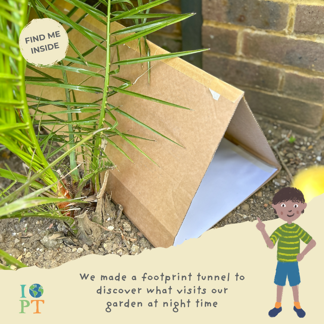 BLACK RHINO WARRIORS - Children’s eco activity kit (Age 5+) | natural wooden toy for toddlers UK