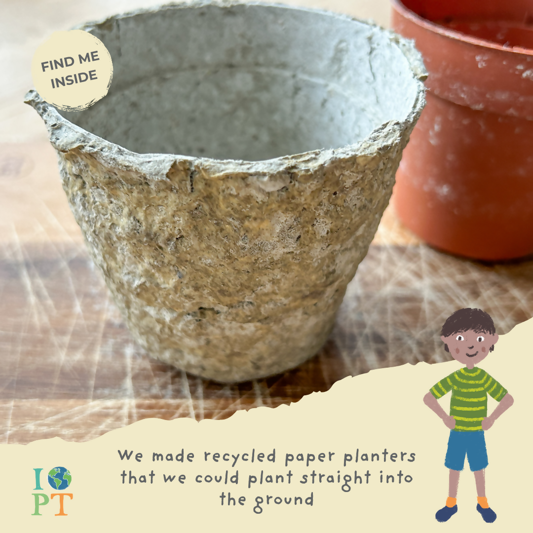 TOTALLY TROPICAL RAINFORESTS - Children’s eco activity kit (Age 5+) — Montessori wooden toy UK | KIDDYKIND