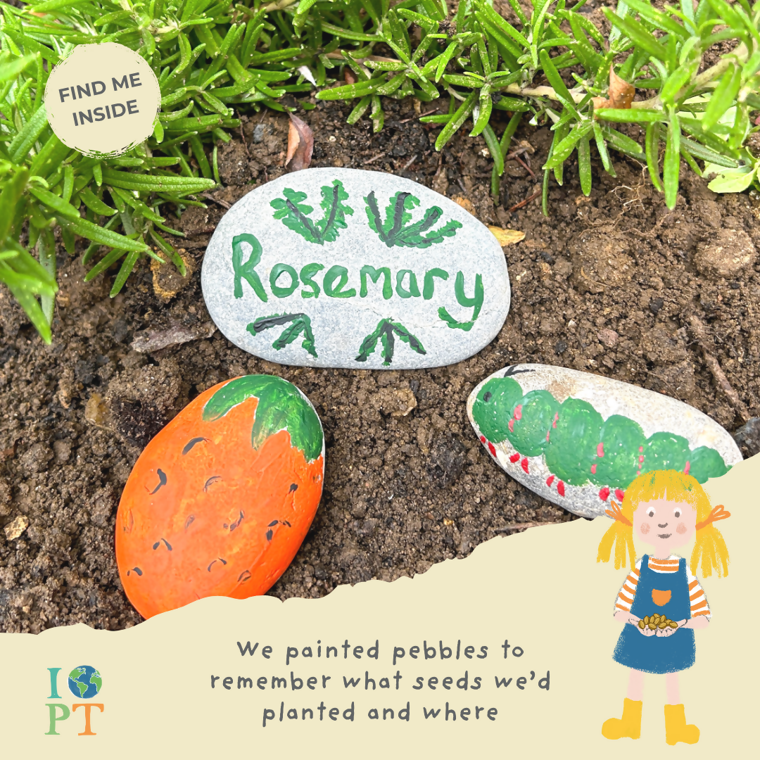 FOOD GLORIOUS FOOD - Children’s eco activity kit (Age 5+) — Montessori wooden toy UK | KIDDYKIND