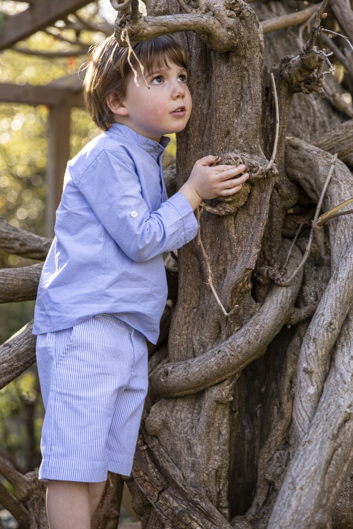 Costa Nova Blue Boy Shirt