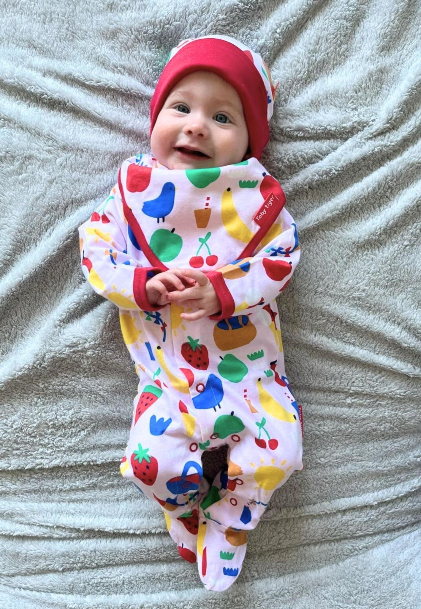 Organic Picnic Print Dribble Bib - Toby Tiger