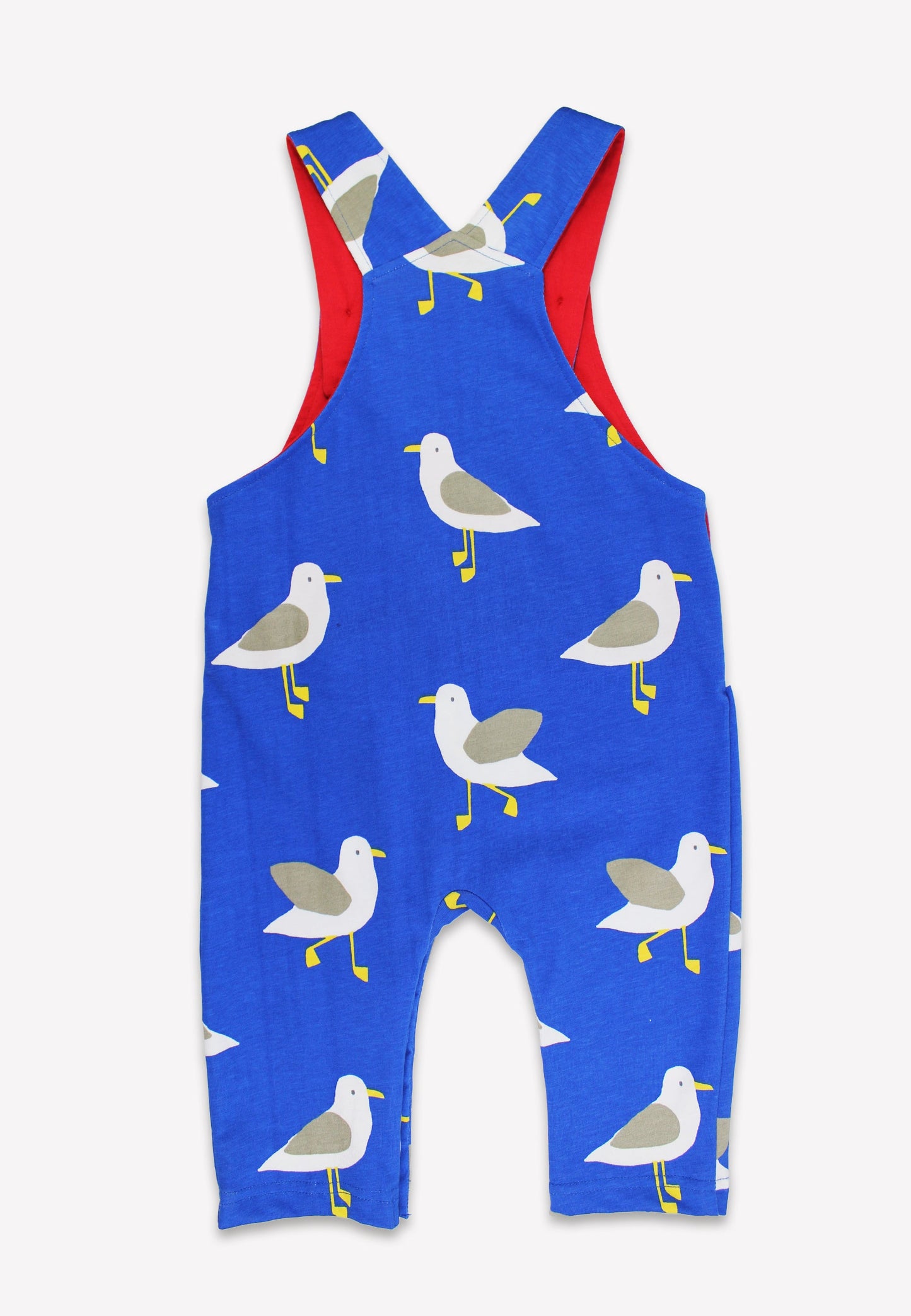 Blue swim suit with seagull pattern on a white background