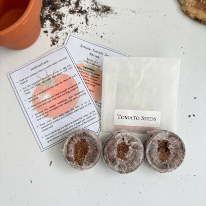 Mini Grow Your Own Tomatoes Kit