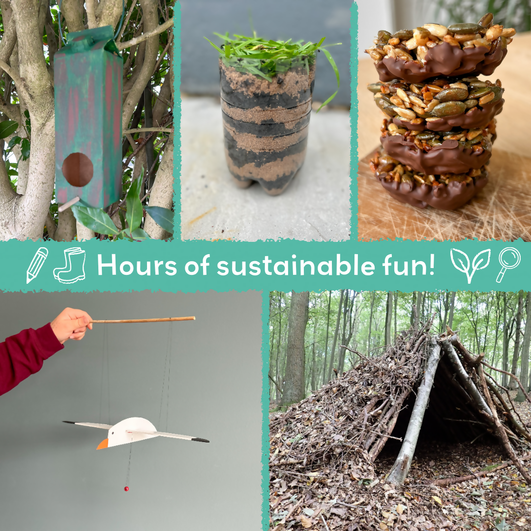 THE SECRET LIFE OF BIRDS - Children’s eco activity kit (Age 5+) | open-ended wooden toy for kids UK
