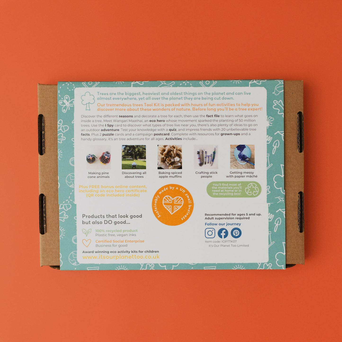 TREMENDOUS TREES - Children’s eco activity kit (Age 5+) — Montessori wooden toy UK | KIDDYKIND