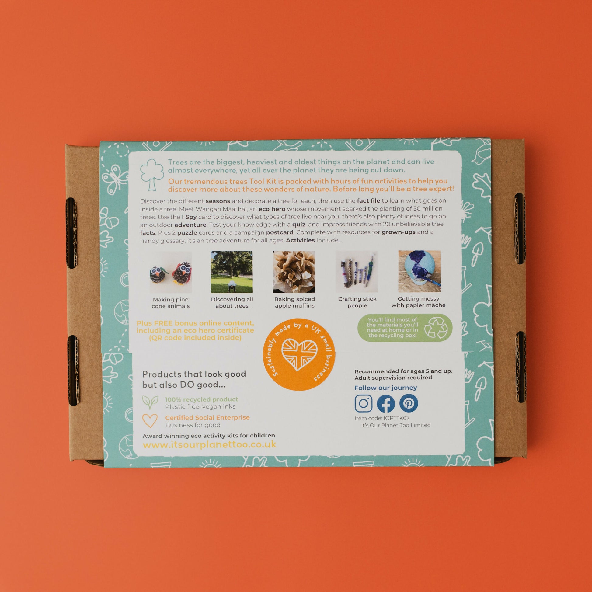 TREMENDOUS TREES - Children’s eco activity kit (Age 5+) — Montessori wooden toy UK | KIDDYKIND