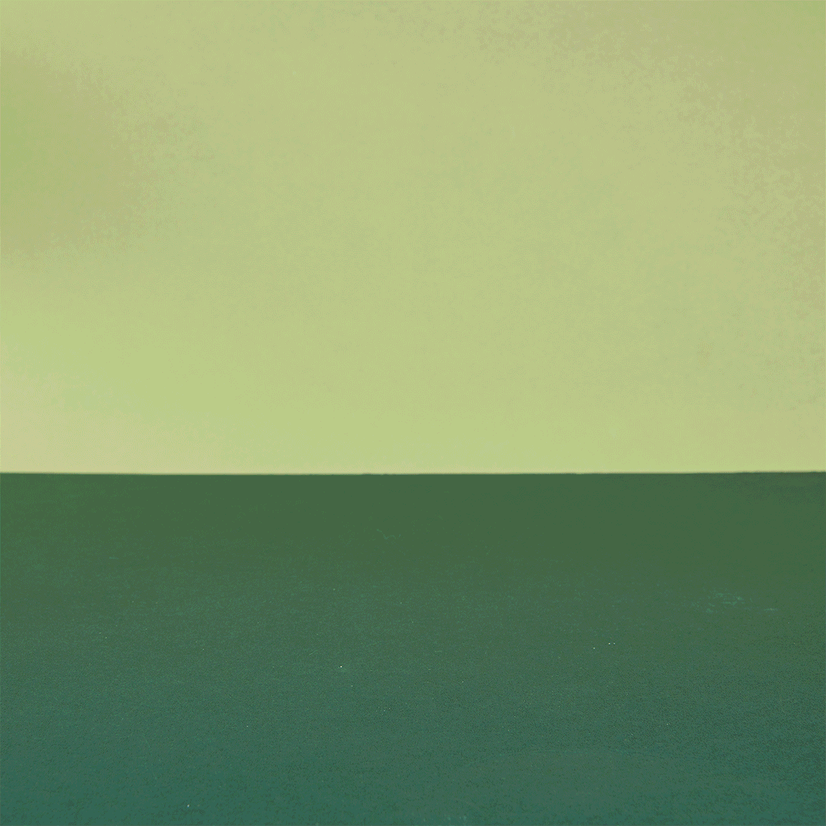 13 Farmyard Animals Shelf Set