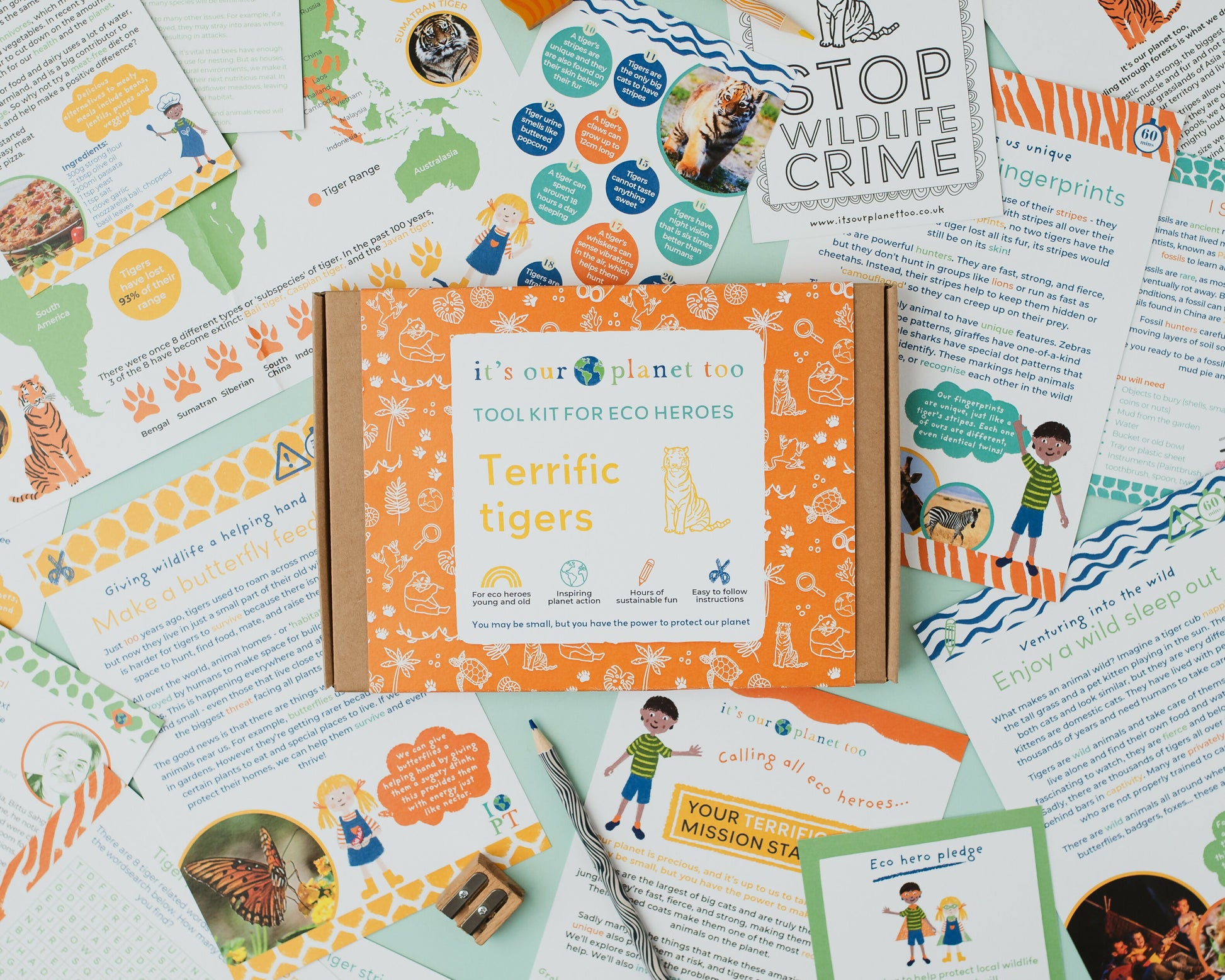 TERRIFIC TIGERS - Children’s eco activity kit (Age 5+) | open-ended wooden toy for kids UK