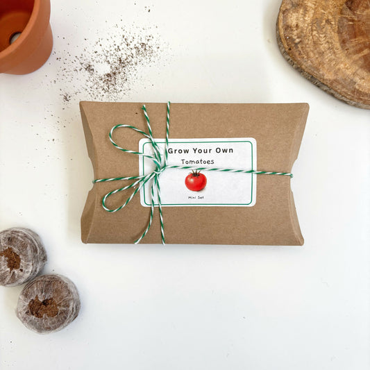 Mini Grow Your Own Tomatoes Kit