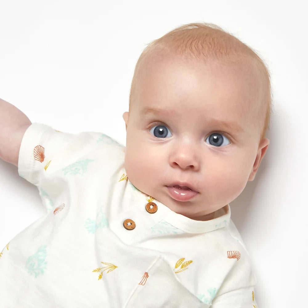 organic cotton kids t-shirt with marine print, seaweed and kelp print baby t-shirt organic cotton