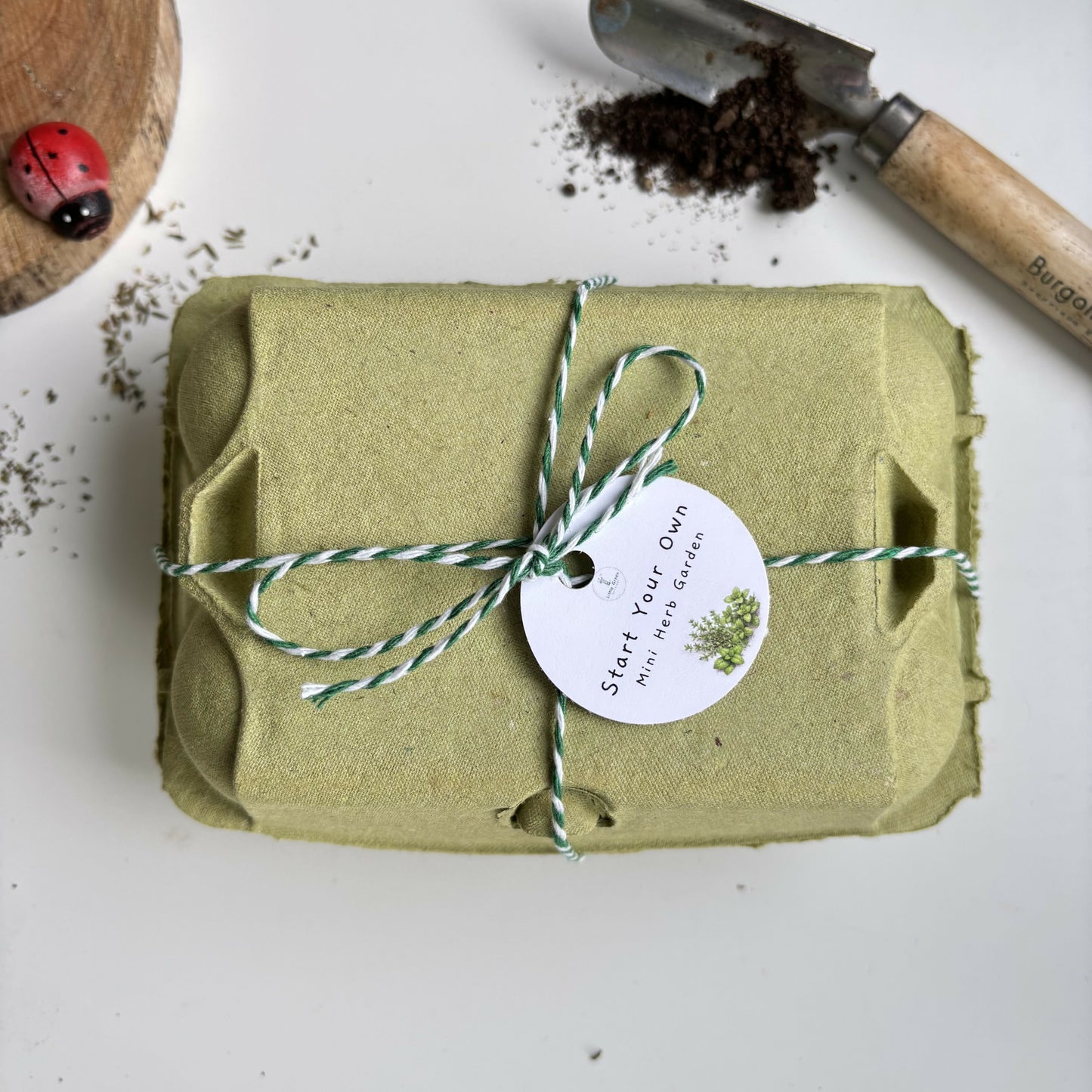 Start A Mini Herb Garden Kit