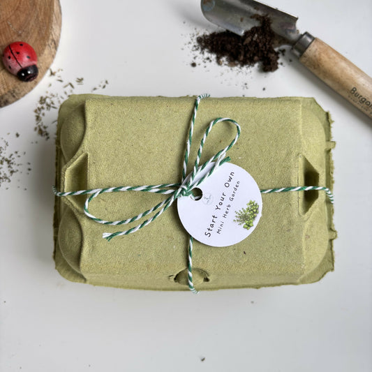 Start A Mini Herb Garden Kit