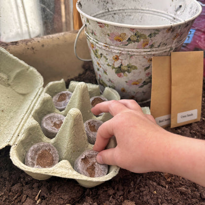 Start a Mini Allotment Kit by Little Green Creators | Kiddykind