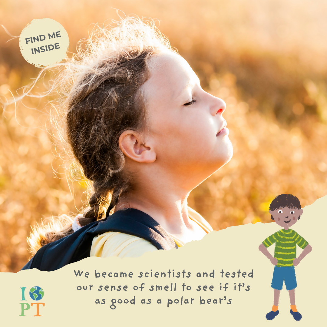 PROWLING POLAR BEARS - Children’s eco activity kit (Age 5+) | open-ended wooden toy for kids UK