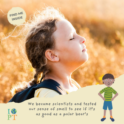 PROWLING POLAR BEARS - Children’s eco activity kit (Age 5+) | open-ended wooden toy for kids UK