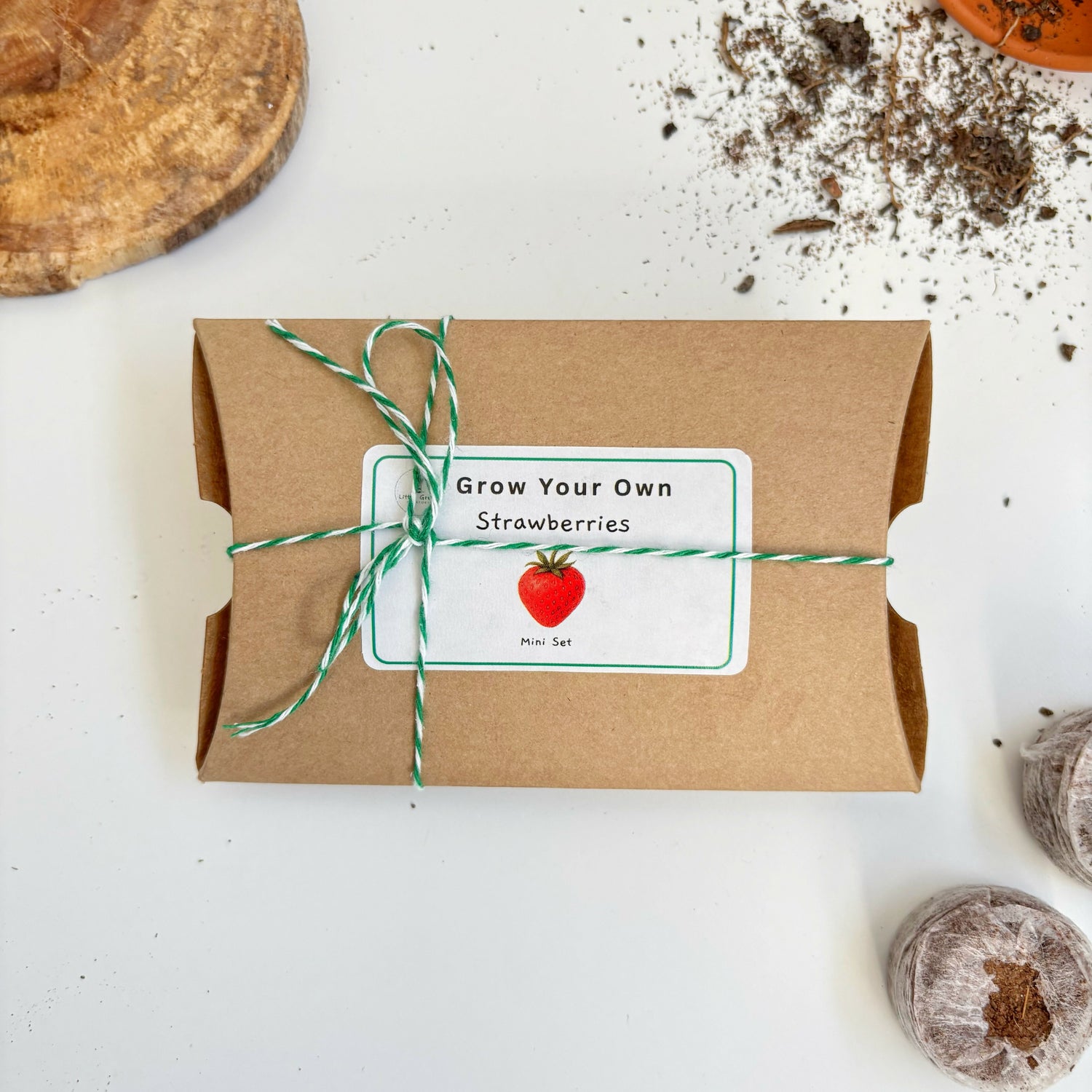 Sustainable Montessori toy: Mini Grow Your Own Strawberries Kit | KIDDYKIND