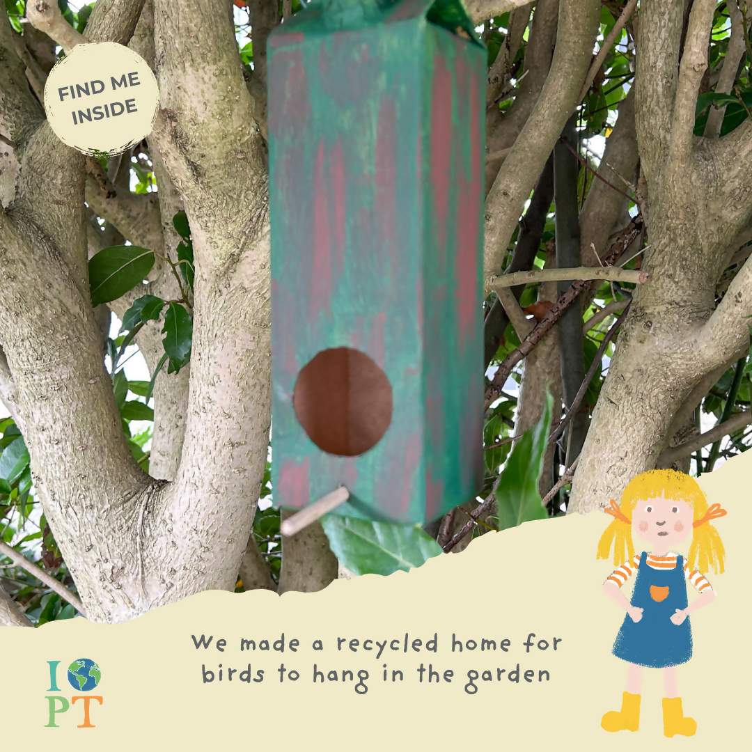 THE SECRET LIFE OF BIRDS - Children’s eco activity kit (Age 5+) | open-ended wooden toy for kids UK
