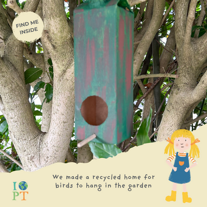 THE SECRET LIFE OF BIRDS - Children’s eco activity kit (Age 5+) | open-ended wooden toy for kids UK
