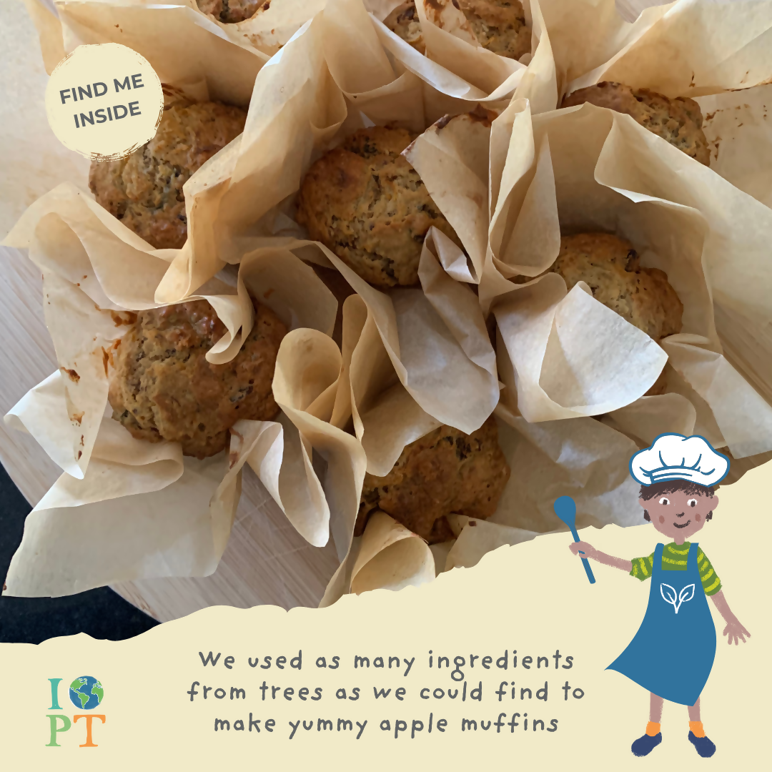 TREMENDOUS TREES - Children’s eco activity kit (Age 5+) — Montessori wooden toy UK | KIDDYKIND