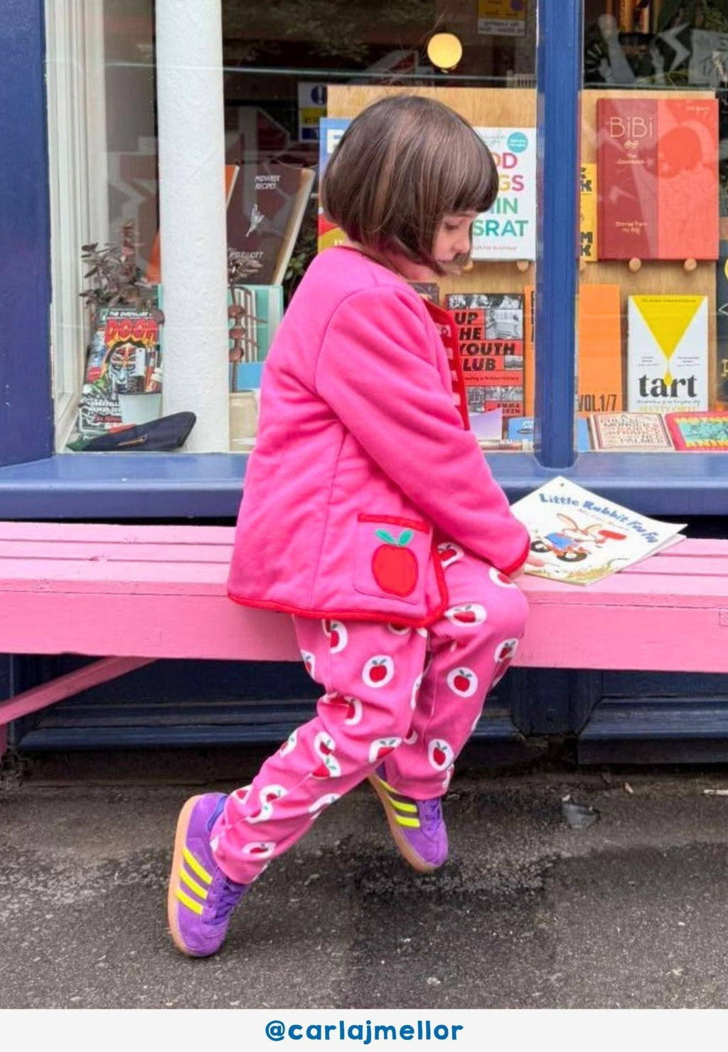 Organic Apple Applique Reversible Jacket - Toby Tiger