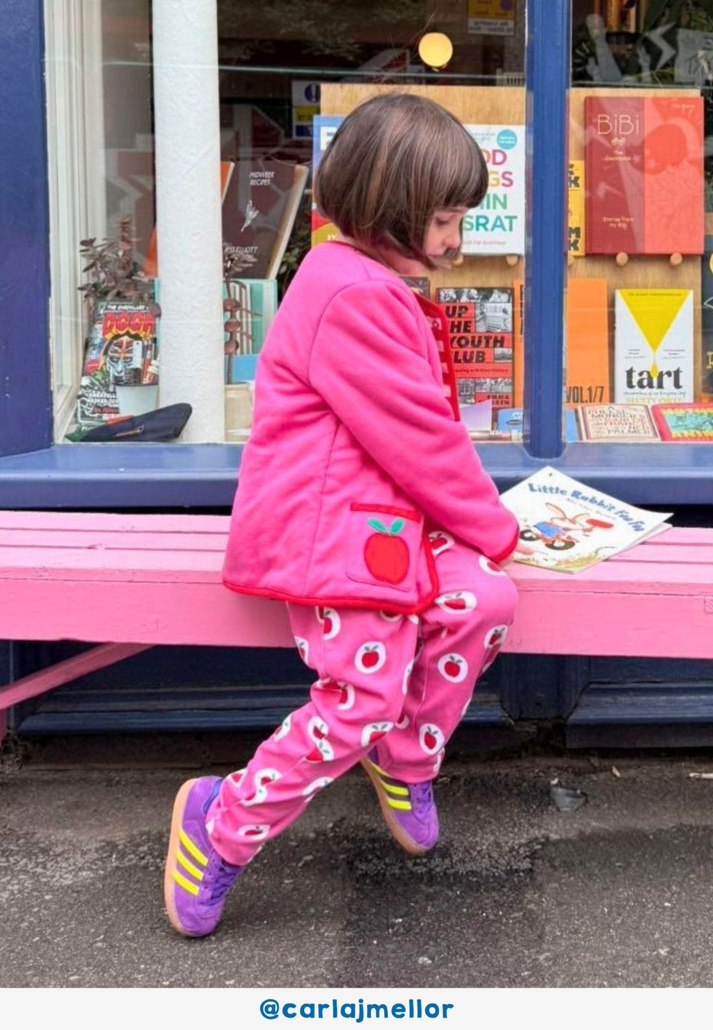 Organic Apple Applique Reversible Jacket - Toby Tiger