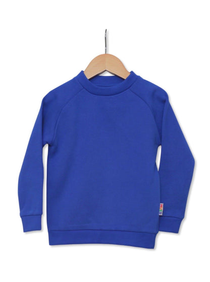 Kids Blue Unisex Jumper Front View - Hues Clothing