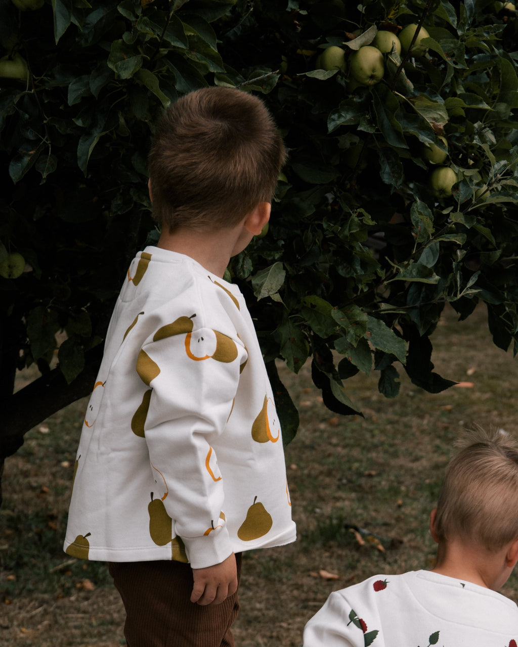 Boy wearing Wildgreen Autumn Pear print sweater made from organic cotton, unisex and gender-neutral sustainable kidswear