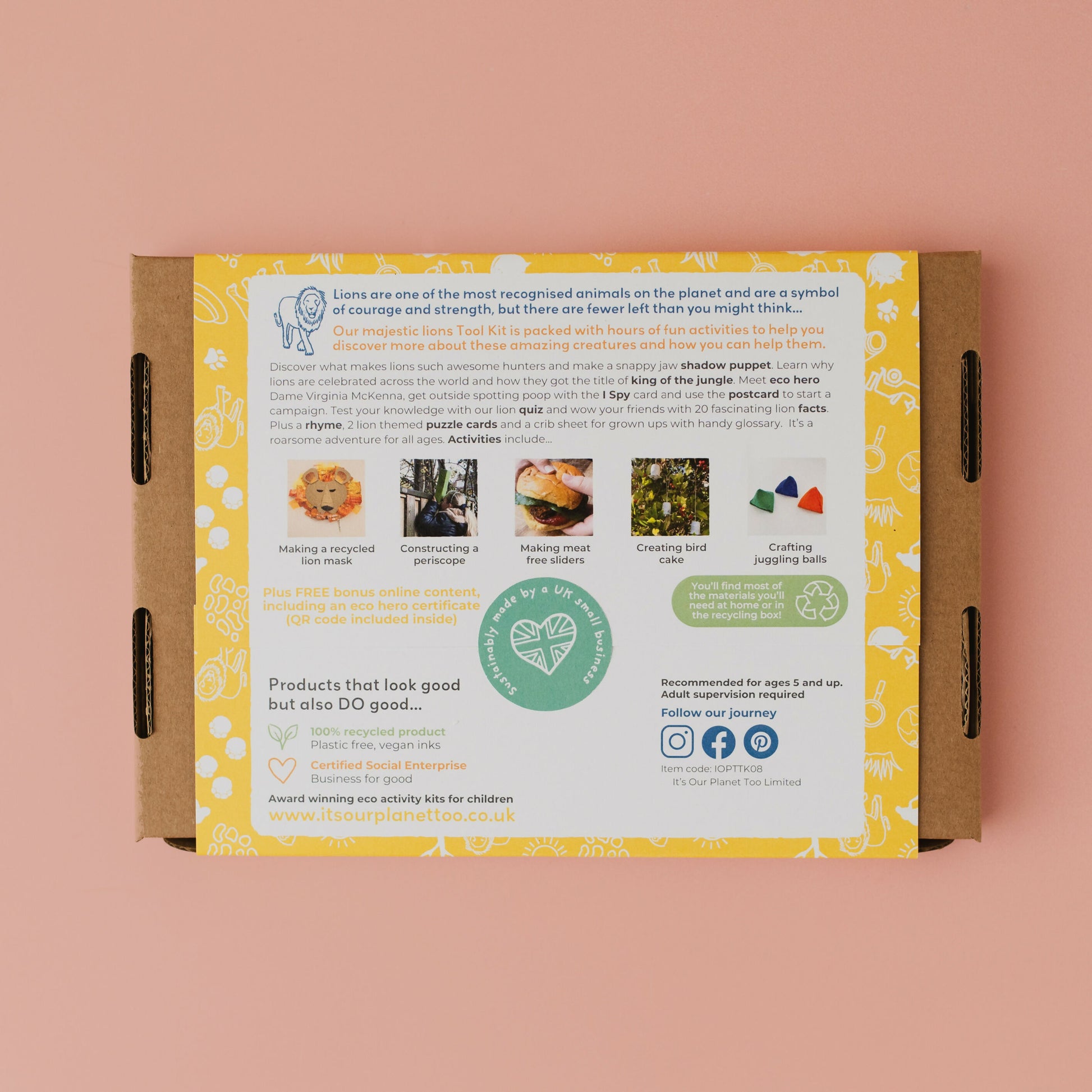 MAJESTIC LIONS - Children’s eco activity kit (Age 5+) | natural wooden toy for toddlers UK