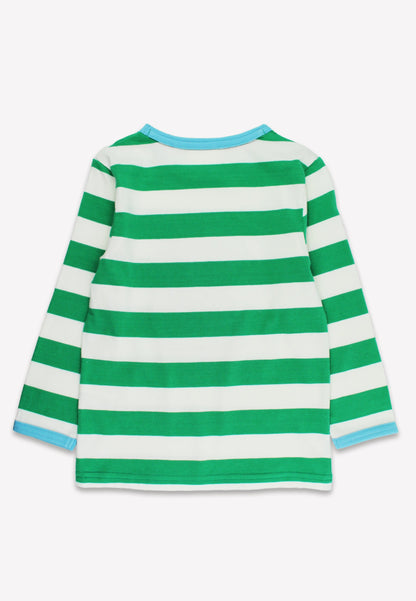 Green and white striped shirt on a white background