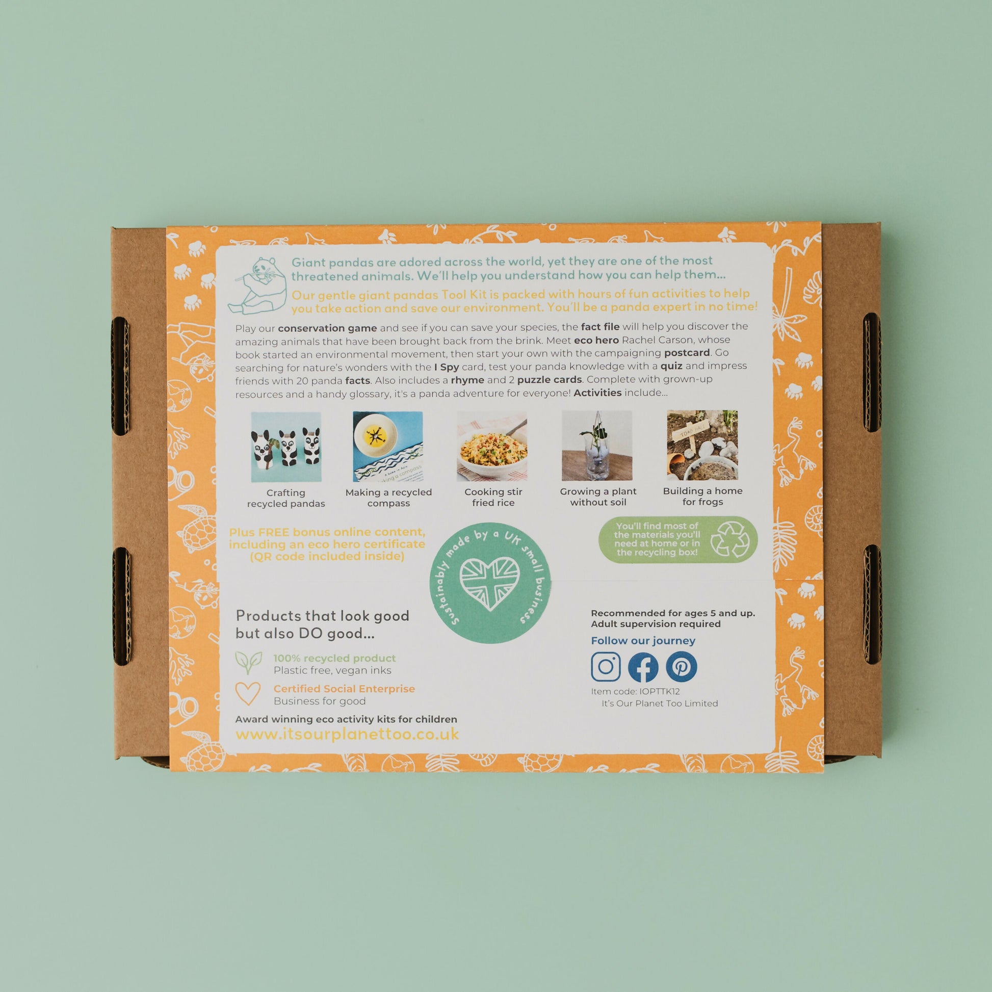 GENTLE GIANT PANDAS - Children’s eco activity kit (Age 5+) | natural wooden toy for toddlers UK