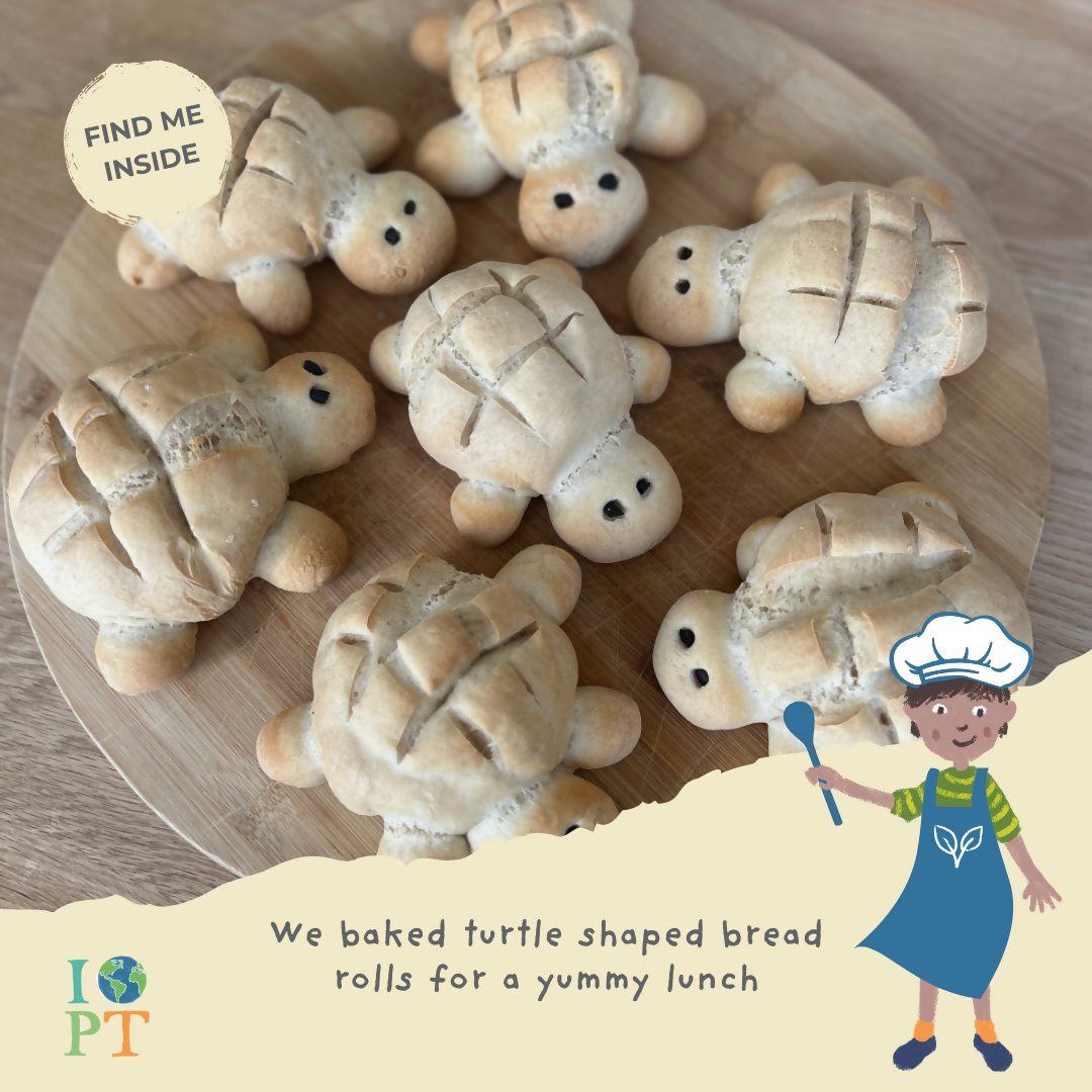 MARVELLOUS MARINE TURTLES - Children’s eco activity kit (Age 5+) | open-ended wooden toy for kids UK
