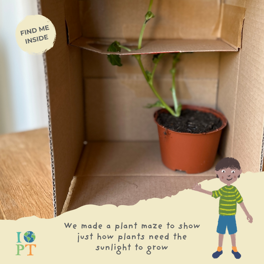 WILD WEATHER - Children’s eco activity kit (Age 5+) — Montessori wooden toy UK | KIDDYKIND