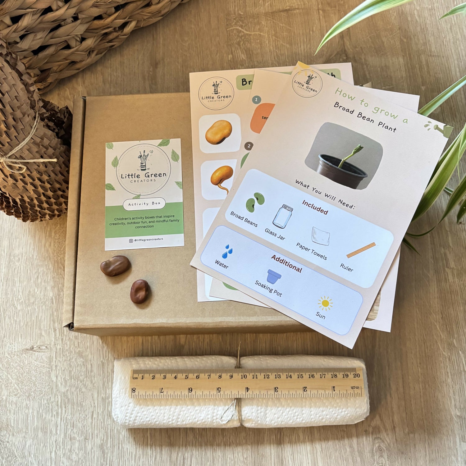 Grow Your Own Broad Bean Kit | open-ended wooden toy for kids UK