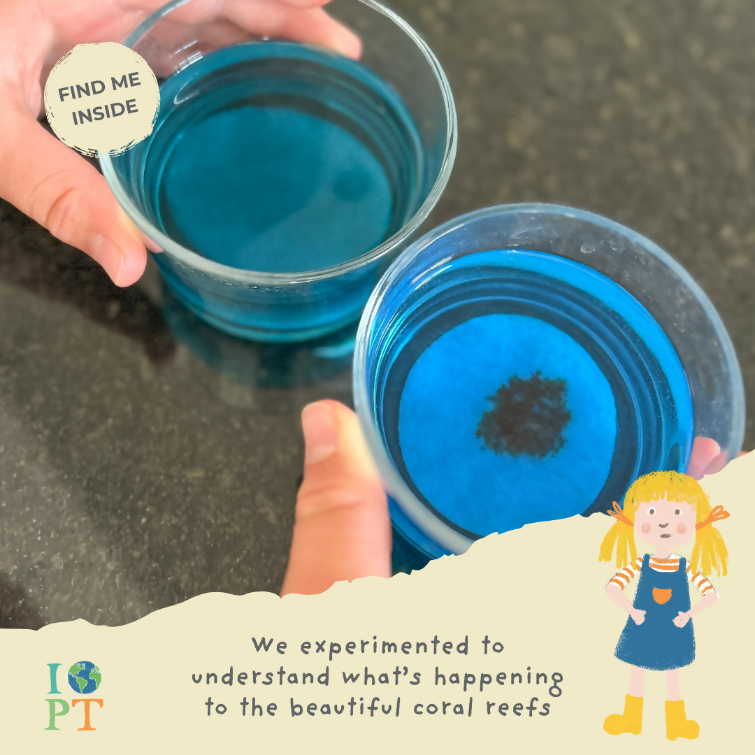 Sustainable Montessori toy: UNDER THE SEA - Children’s eco activity kit (Age 5+) | KIDDYKIND