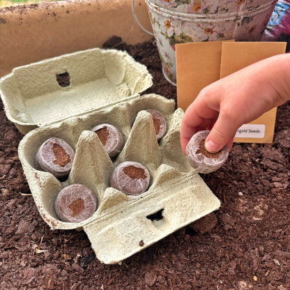 Plant A Bee Garden Kit