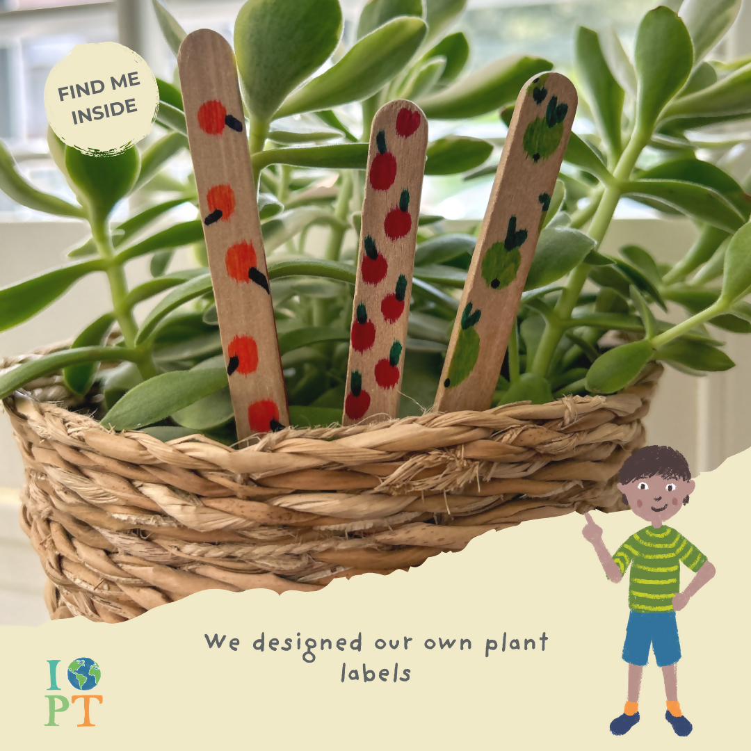 FOOD GLORIOUS FOOD - Children’s eco activity kit (Age 5+) — Montessori wooden toy UK | KIDDYKIND