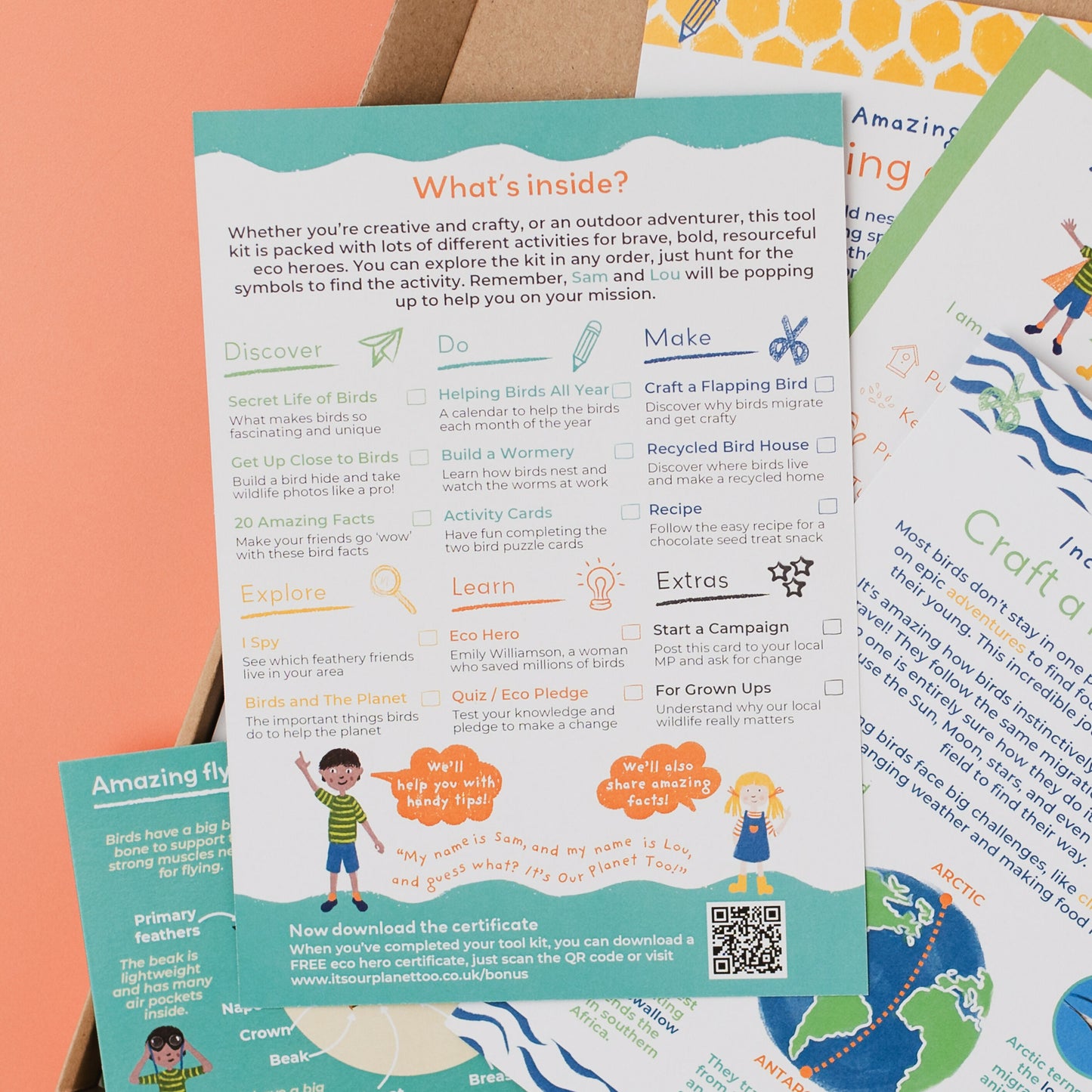 THE SECRET LIFE OF BIRDS - Children’s eco activity kit (Age 5+) | open-ended wooden toy for kids UK