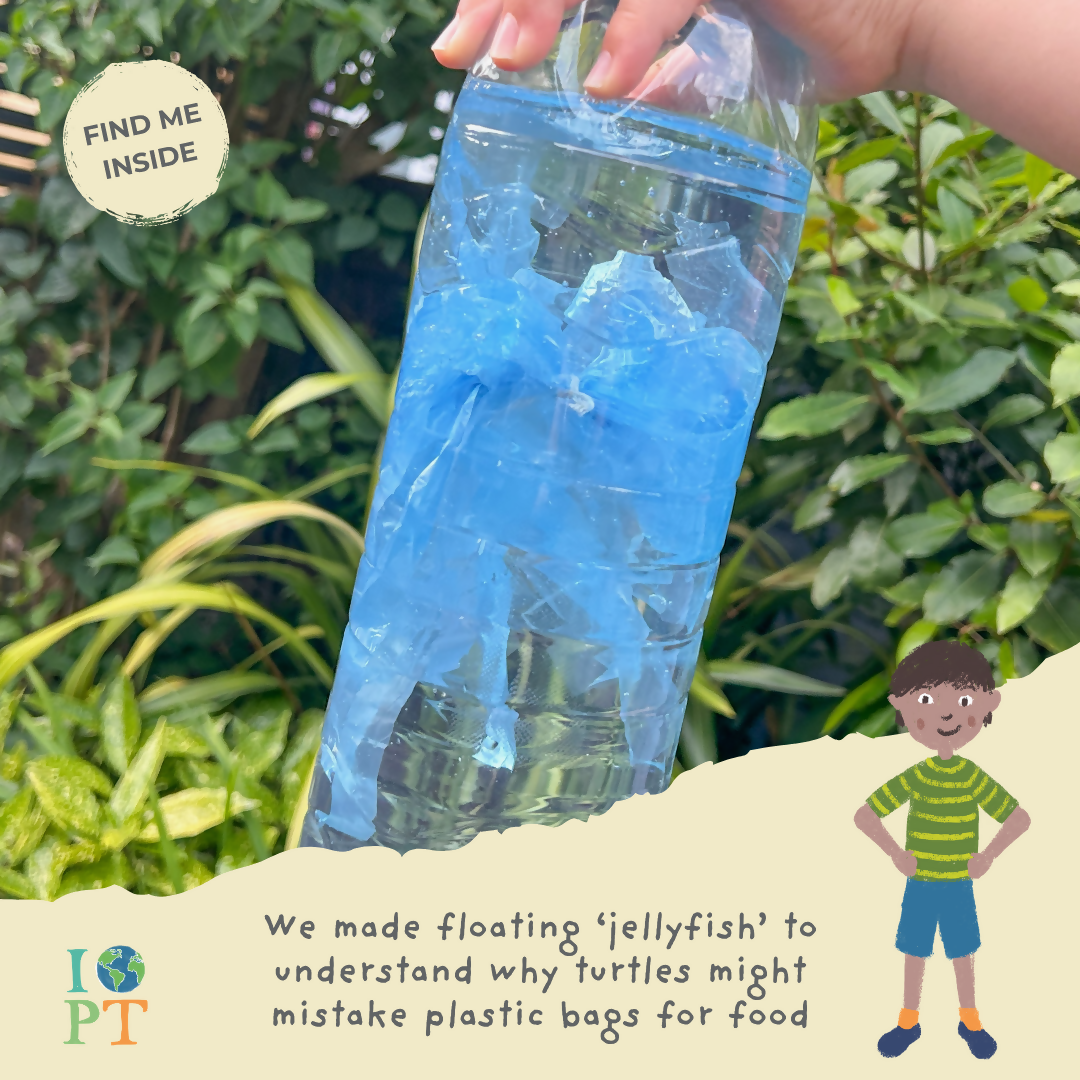 MARVELLOUS MARINE TURTLES - Children’s eco activity kit (Age 5+) | open-ended wooden toy for kids UK