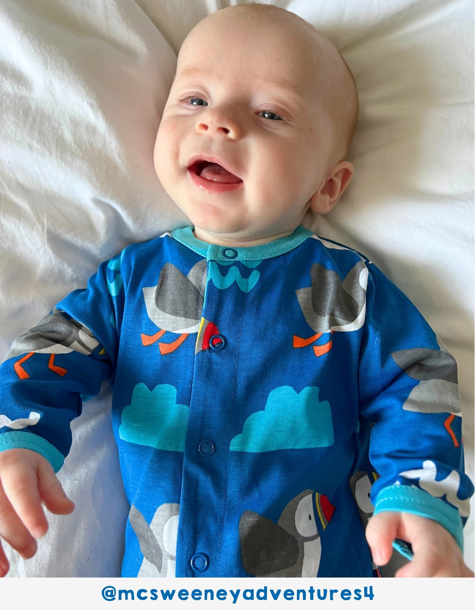 Organic Puffin Print Babygrow - Toby Tiger UK Retail