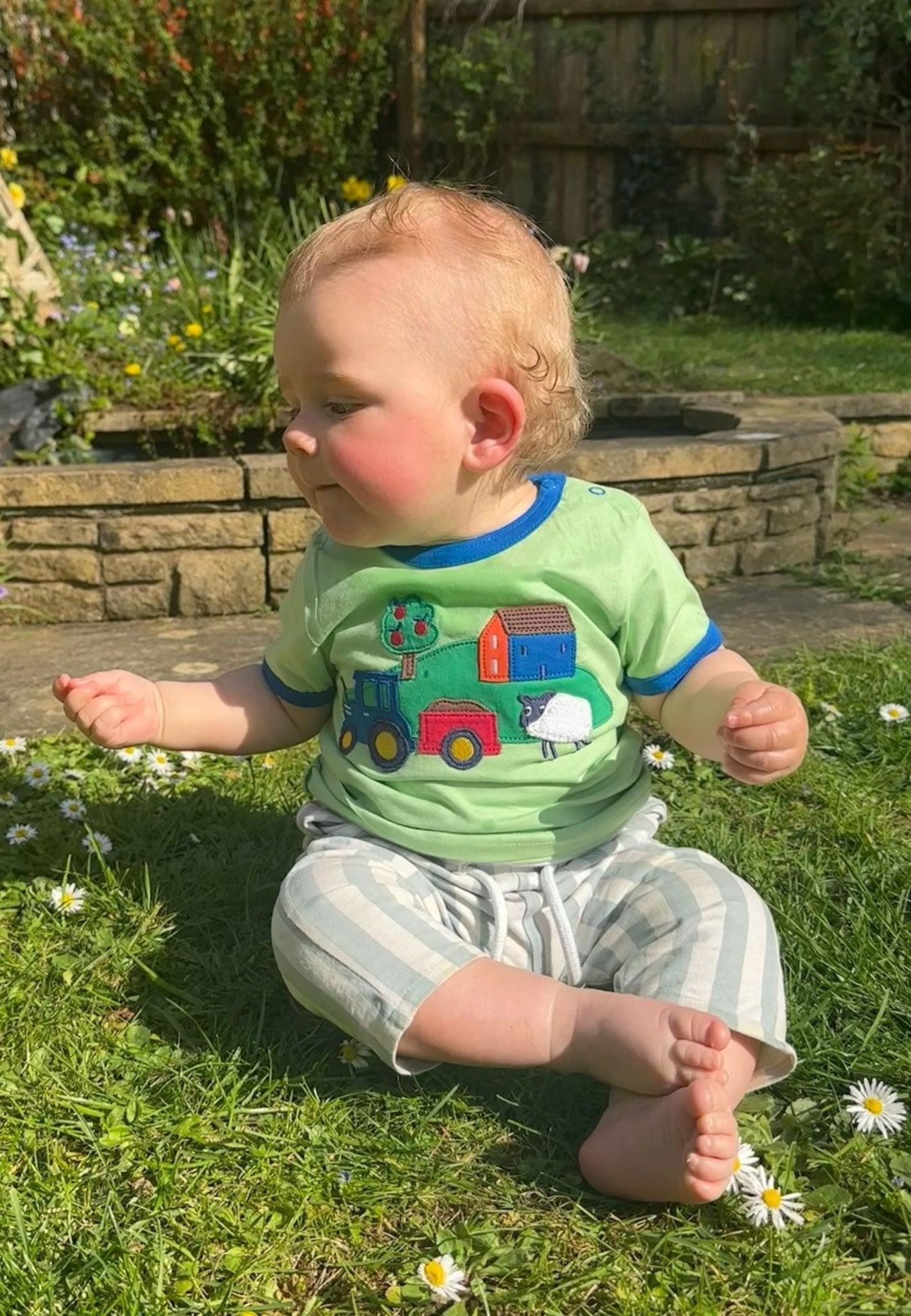 Organic Hillside Applique Short Sleeved T-Shirt - Toby Tiger