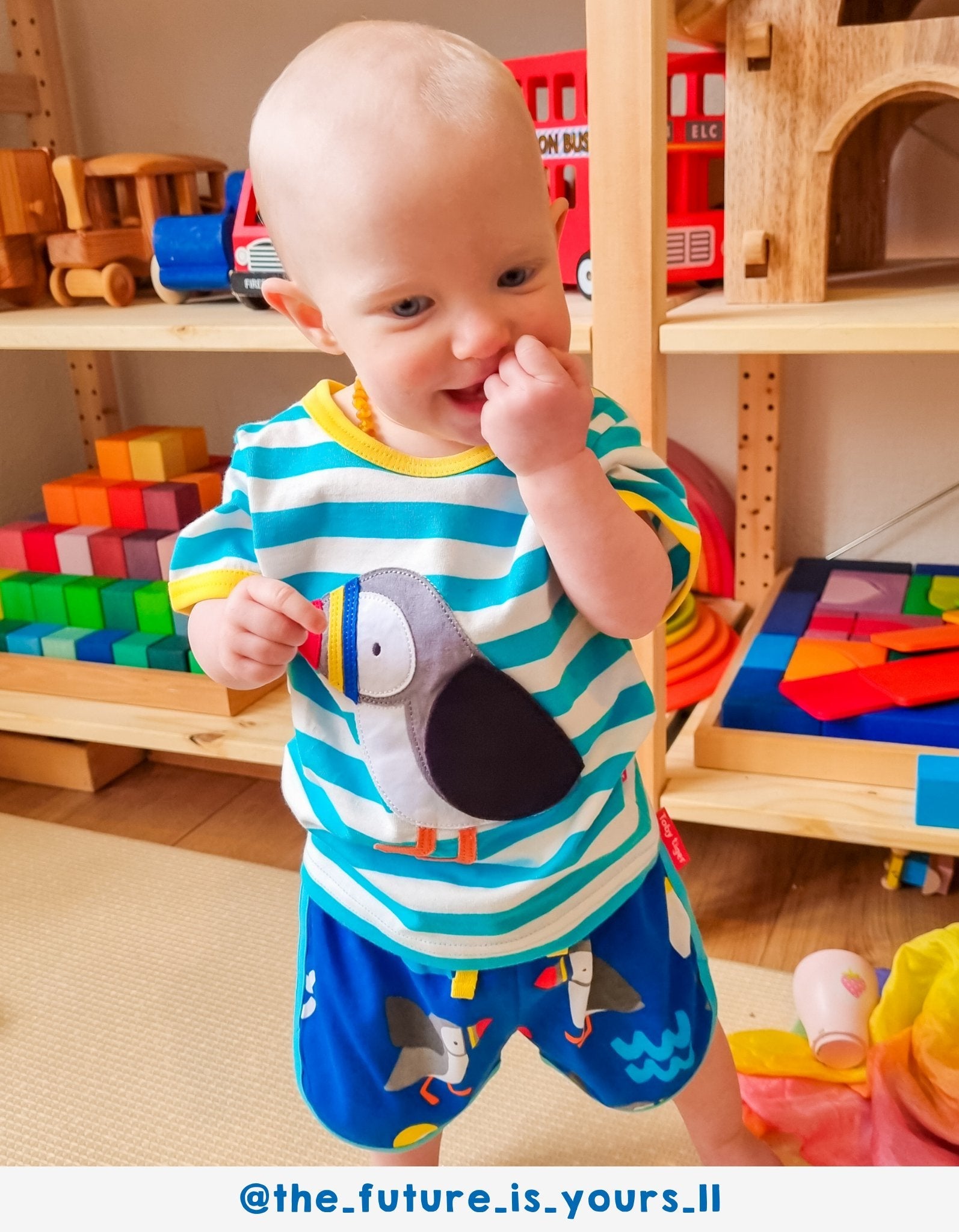 Organic Puffin Applique T-Shirt - Toby Tiger UK Retail