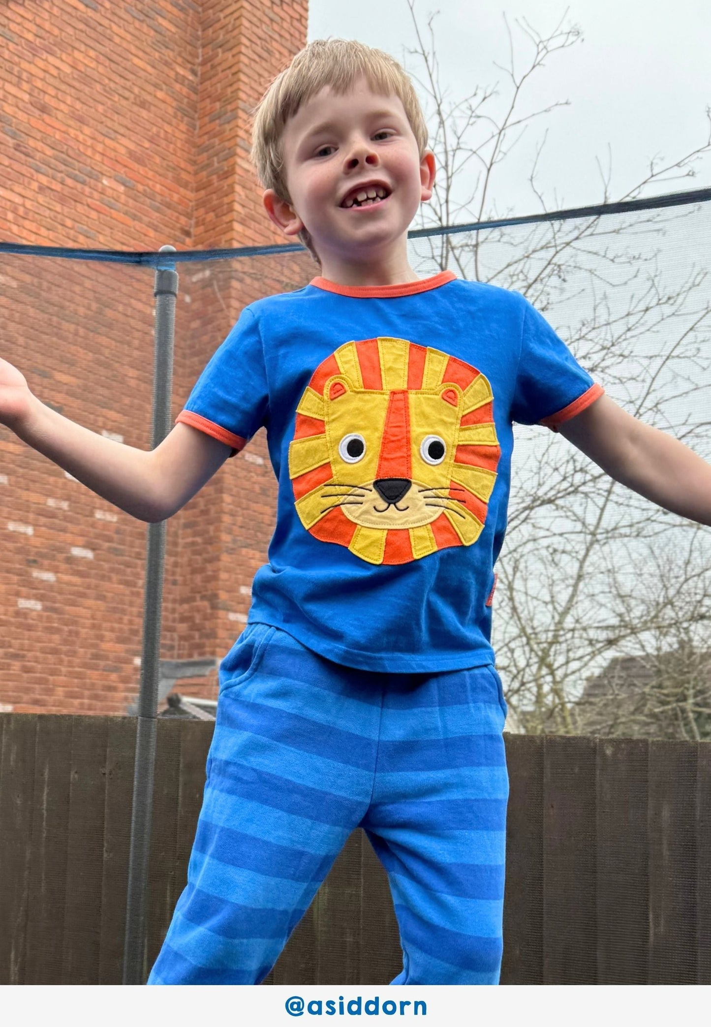 Organic Lion Head Applique Short-Sleeved T-Shirt