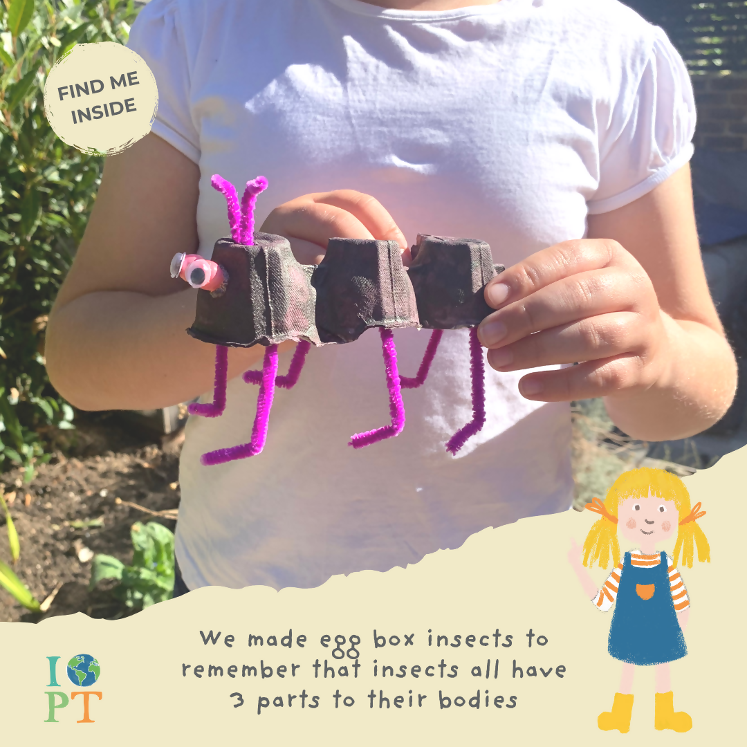 INCREDIBLE INSECTS - Children’s eco activity kit (Age 5+)