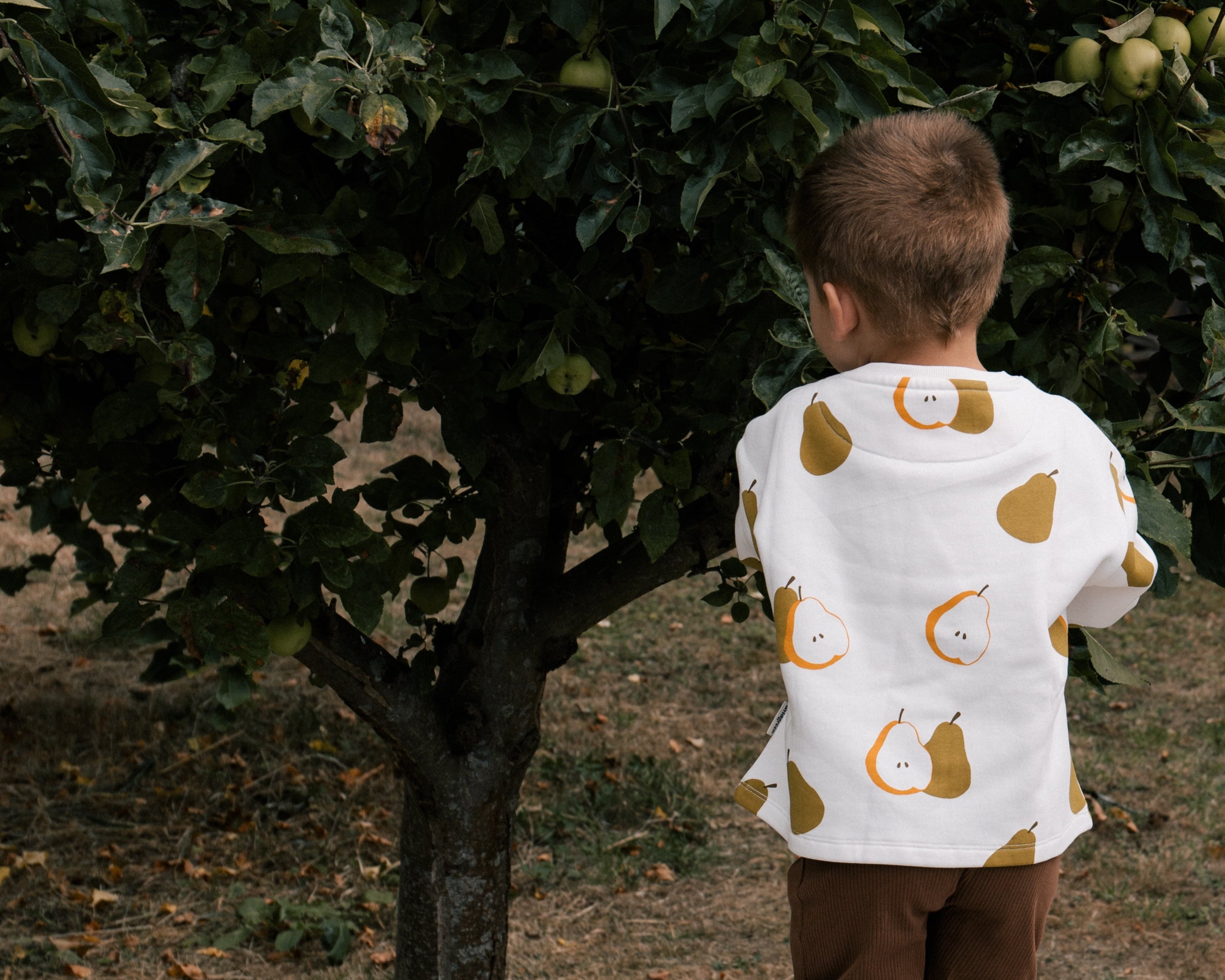 Toddler wearing Wildgreen Autumn Pear print sweater made from organic undyed cotton, unisex and gender-neutral sustainable kidswear, whilst apple picking