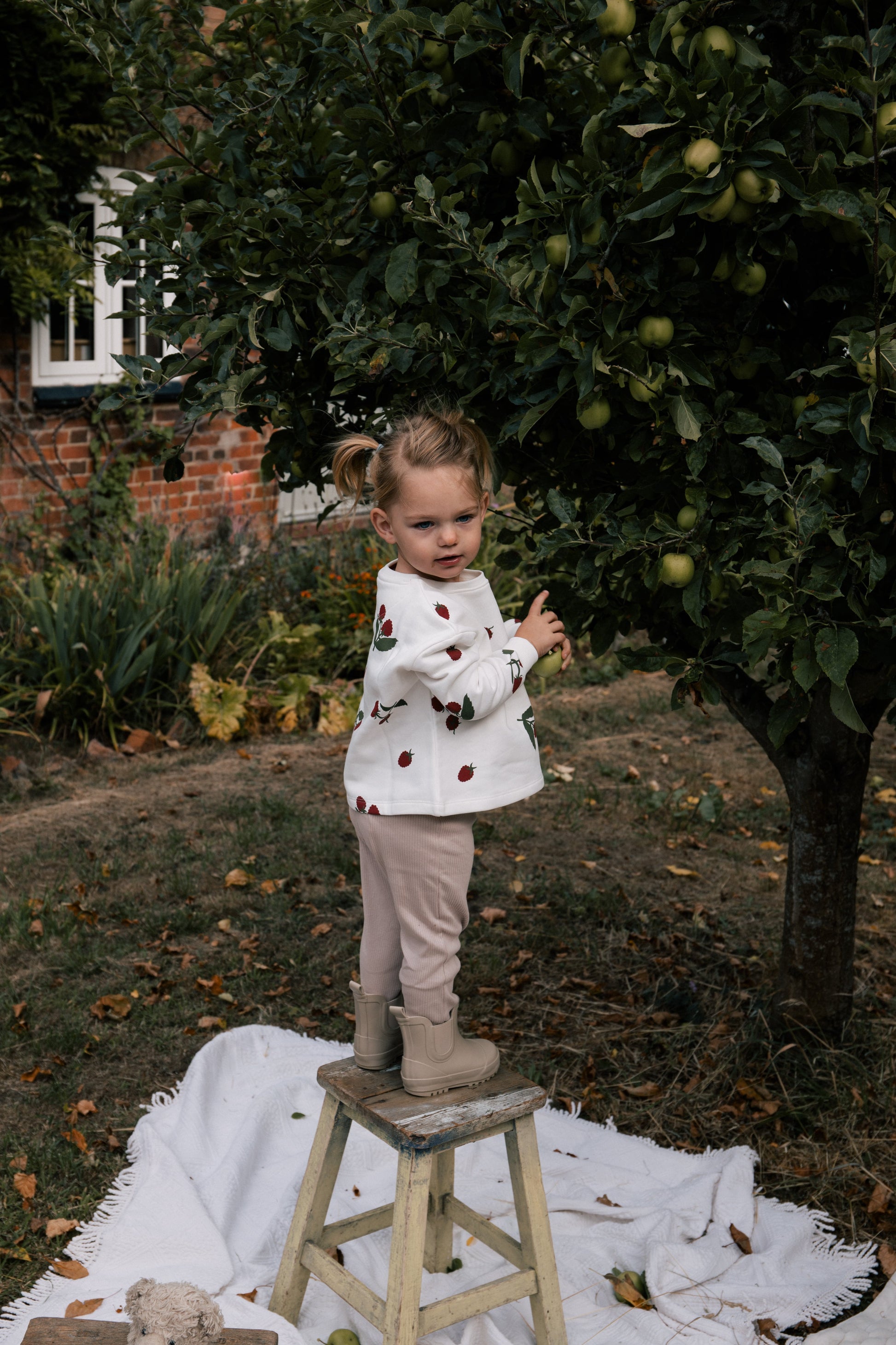 Toddler wearing Wildgreen raspberry print sweater made from organic cotton whilst apple-picking, unisex and gender-neutral sustainable kidswear