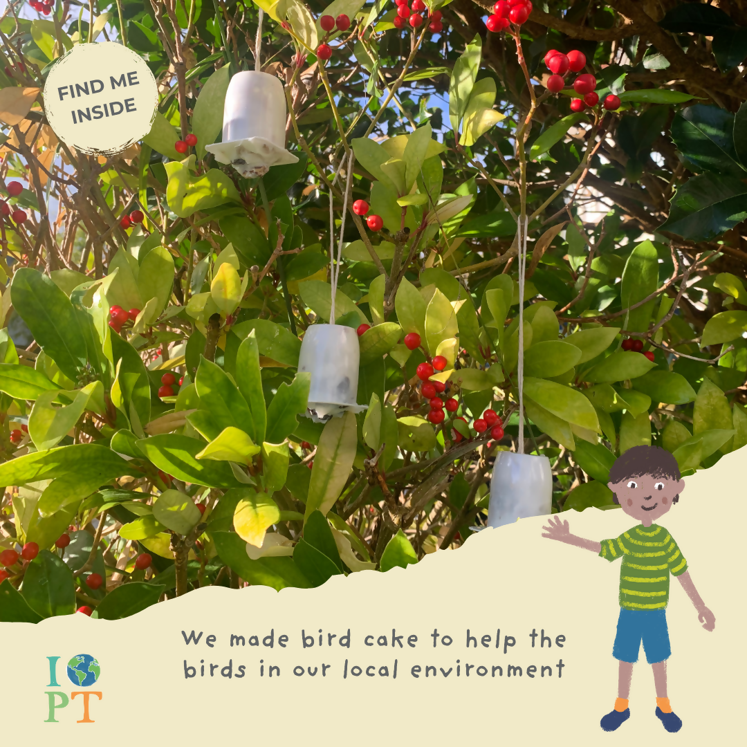 MAJESTIC LIONS - Children’s eco activity kit (Age 5+) | natural wooden toy for toddlers UK